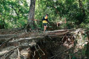 BIB: 
                            <button type="button" onclick="openModal(27799950)" class="btn btn-primary btn-sm float-right btn-popup" data-toggle="modal" data-target=".modal-high-quality">
                        <i class="fas fa-shopping-cart"></i> Add to Cart
                    </button>
                                            <button type="button" onclick="isThisMe(27799950, true)" class="btn btn-success btn-sm float-right btn-popup btn-isme hidden" data-toggle="tooltip" data-placement="bottom" title="นี่คือรูปของคุณใช่ไหม คลิกที่นี่เพื่อเอาเข้าอัลบั้ม">
                        <i class="fas fa-plus"></i> Add to album
                    </button>
                    <button type="button" onclick="isThisMe(27799950, false)" class="btn btn-warning btn-sm float-right btn-popup btn-isnotme hidden">
                        <i class="fas fa-ban"></i> Remove from album
                    </button>